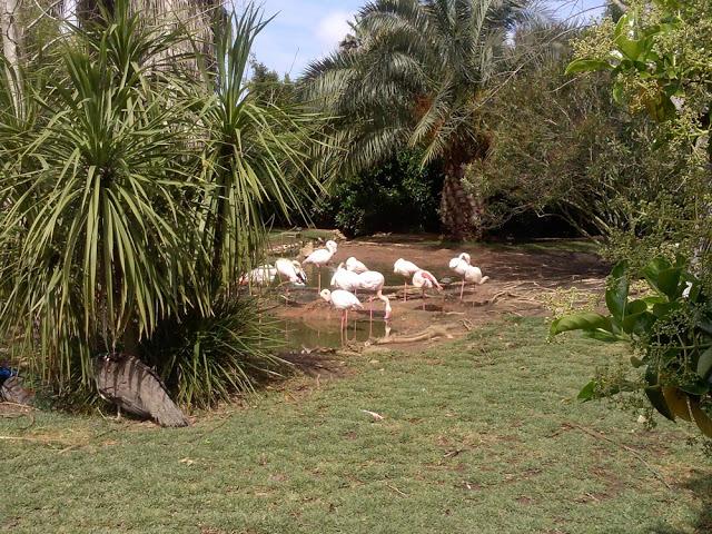 Zoo de Lagos (parte II)