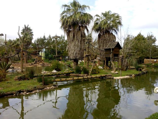 Zoo de Lagos (parte II)