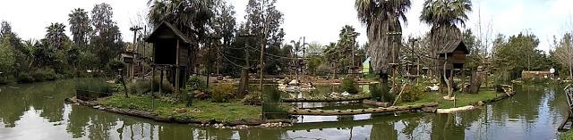 Zoo de Lagos (parte II)