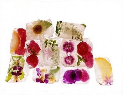 Jugando con los hielos