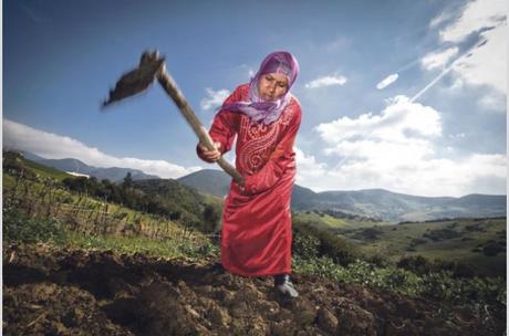Primavera árabe: el mundo rural tunecino se resiente tras años de dictadura Cambios para las mujeres rurales de Túnez