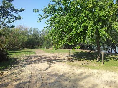Anillamiento científico en la Laguna de Fuente del Rey (Dos Hermanas, Sevilla) - Bird ringing in Fuente del Rey Lagoon