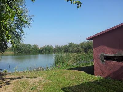 Anillamiento científico en la Laguna de Fuente del Rey (Dos Hermanas, Sevilla) - Bird ringing in Fuente del Rey Lagoon