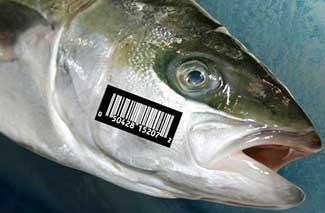 etiquetado del pescado