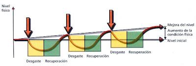 No se puede competir todos los fines de semana...