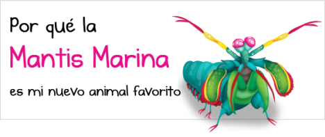 mantis_shrimp_bigES