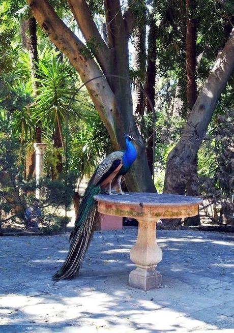 ❥ 3 cosas: Sevilla