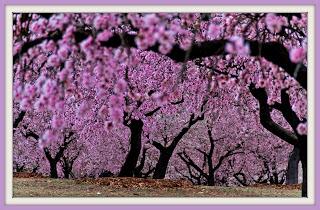 LAS RECOMPENSAS IRÁN HACIA TI