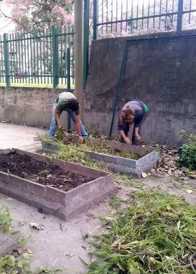 Proyecto: Recuperación, Intervención y Puesta en Valor de Espacios en la Escuela