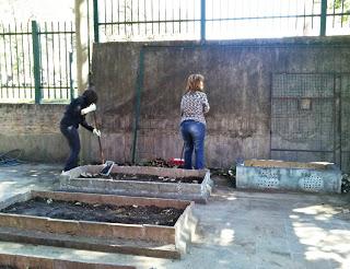 Proyecto: Recuperación, Intervención y Puesta en Valor de Espacios en la Escuela