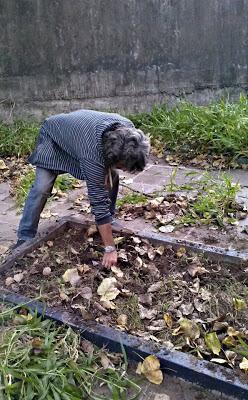 Proyecto: Recuperación, Intervención y Puesta en Valor de Espacios en la Escuela