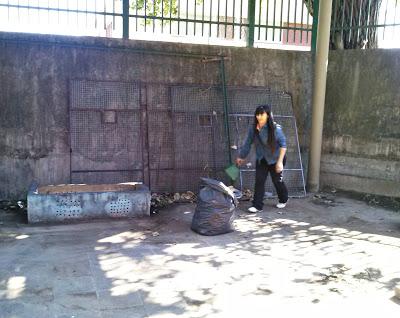 Proyecto: Recuperación, Intervención y Puesta en Valor de Espacios en la Escuela