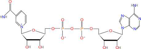 Generalidades de la fermentación