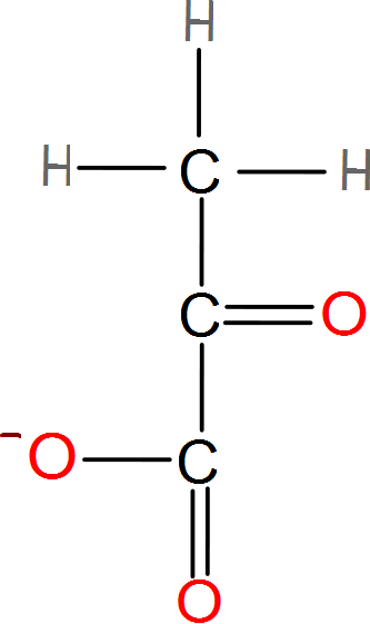 Generalidades de la fermentación