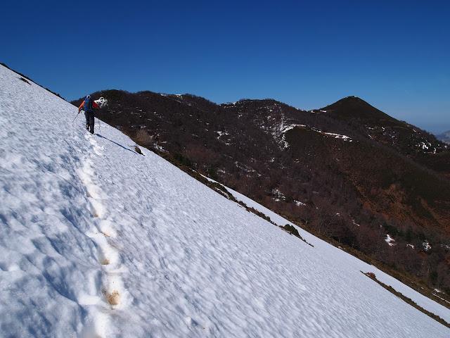 el recuencu y collau zorru