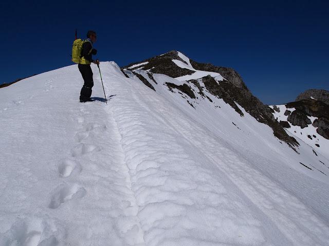 el recuencu y collau zorru