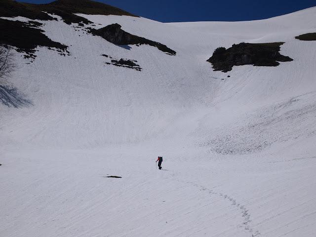 el recuencu y collau zorru