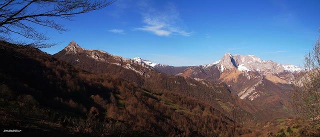 el recuencu y collau zorru