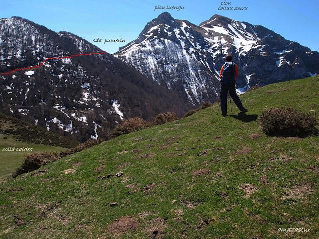 el recuencu y collau zorru