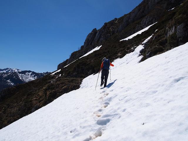 el recuencu y collau zorru