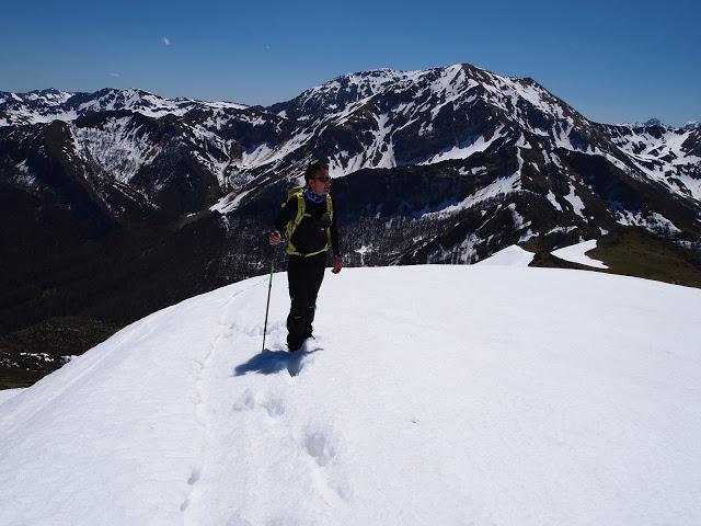 el recuencu y collau zorru