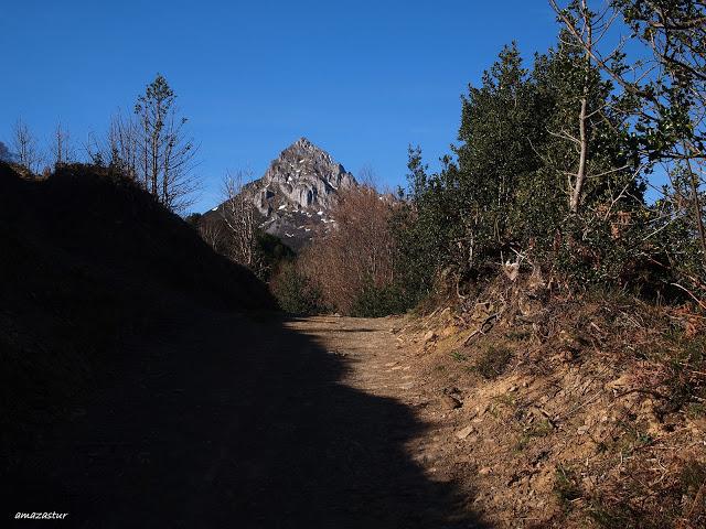 el recuencu y collau zorru