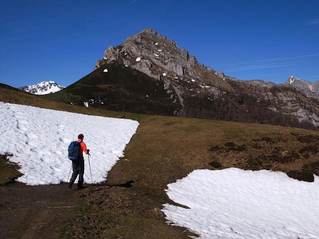 el recuencu y collau zorru