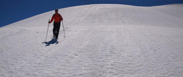 el recuencu y collau zorru
