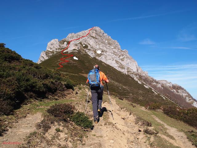 el recuencu y collau zorru