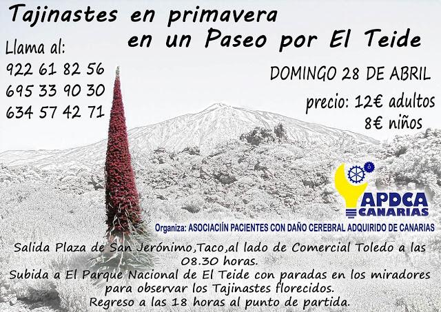 Vamos a disfrutar la Primavera en el Teide el 28 de abril de 2013