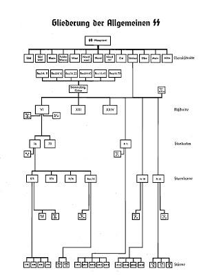 Allgemeine SS: organización general