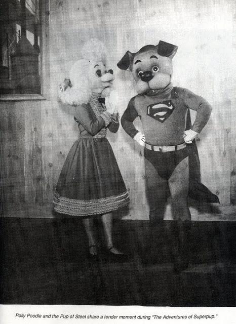 El Supercan que no conoces, Superpup.