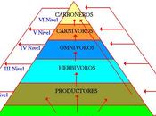 Componente ecosistemico icfes
