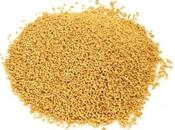 beneficios lecitina soja