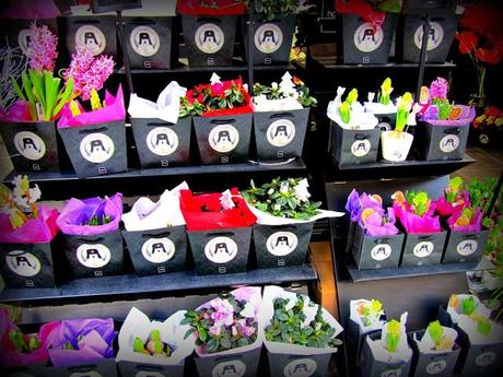 Biarritz, Très chic!