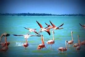 Holbox, escapada al paraíso