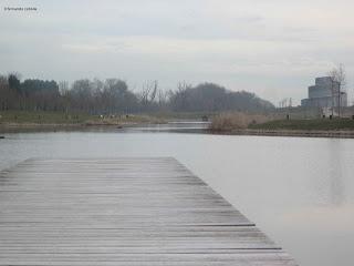 Estanque del parque de Plaza, Zaragoza.