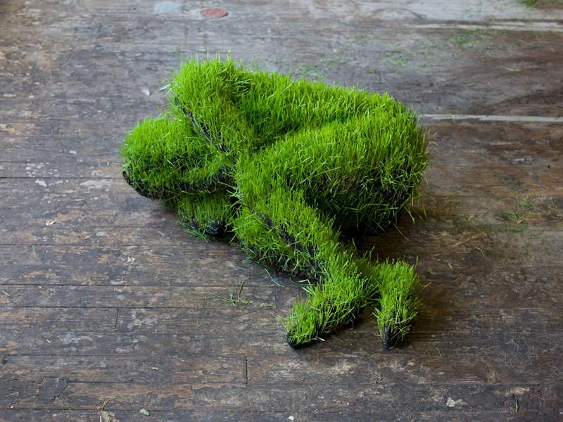 Lives of grass by Mathilde Roussel
