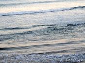 Banda sonora Lorenzo XVII