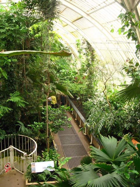 Kew gardens: el paraíso en la otra esquina