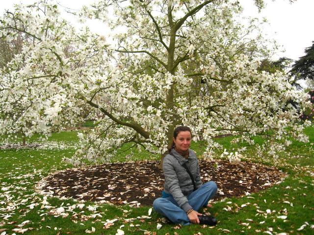 Kew gardens: el paraíso en la otra esquina