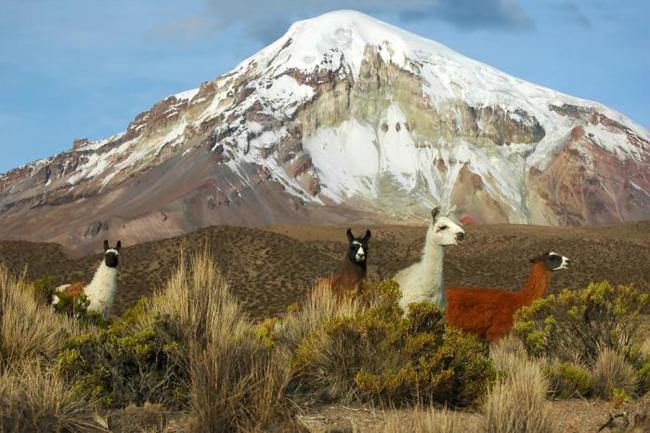 Las cinco montañas más altas de Sudamérica