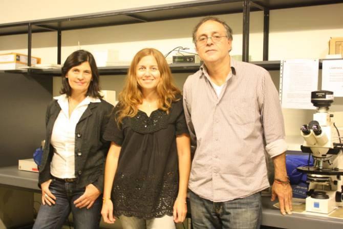 Los autores del estudio, los doctores Laura Morelli (izq.), María Celeste Leal y Eduardo Castaño del Laboratorio de Amilodiosis y Neurodegeneración del Instituto Leloir. (Foto: Agencia CyTA – Instituto Leloir)