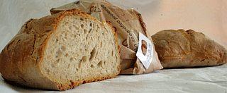 El pan, un complemento perfecto de la dieta… cuando es de verdad