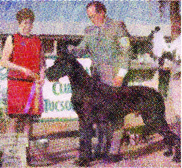 ¡Con la impresión también se puede hacer creatividad!