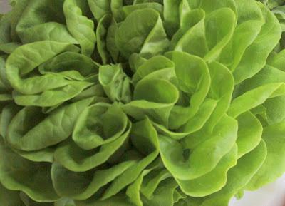 Verde que te quiero verde.