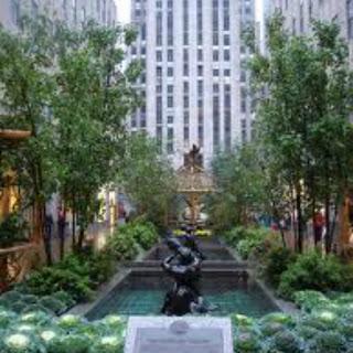 Un paseo por Rockefeller Center