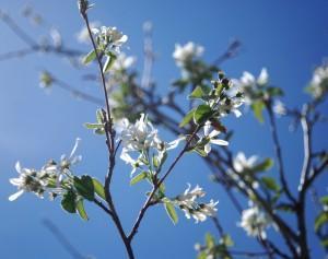 SER FELIZ…PARA HACERTE FELIZ! (y IV)