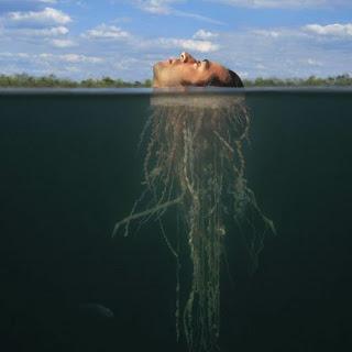 Las Tapas de STORM THORGERSON (1944-2013)