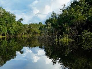 Lucha contra la biopiratería